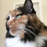 Stuart Aldridge - @aldridge5394 - Instagram