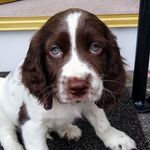 Stuart Angus - @theofaeperth - Instagram