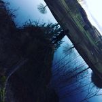 Stuart_Angus - @stuart_2442 - Instagram
