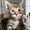 barry stuart - @barry.stuart0 - TikTok