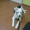 stuartbahringer - @stuartbahringer - TikTok