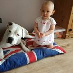 Stuart Bentley - @stuart.bentley.52459 - Instagram