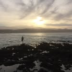 Stuart Berkeley - @berkeleystuart - Instagram