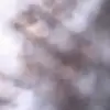 Stuart_berki mma zápasník - @stuart_berki - TikTok