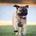 Stuart P. Berk - Facebook