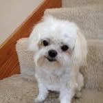 Stuart Berryman - @berryman_stuart - Instagram