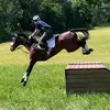 Stuart Black - @stuartblackequestrian - TikTok