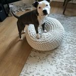Stuart Blackburn - @stuartblackburn76 - Instagram
