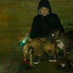Stuart blackburn - @stubbleygorrila - Instagram