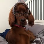 Stuart Booth - @stuart_booth2 - Instagram