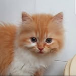 Brinkman Stuart - @brinkman_stuart - Instagram