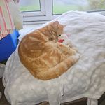 James Stuart Bryant - @jamesbryant1639 - Instagram