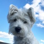 Stuart Scott Bryant - @stuartscottbryant - Instagram