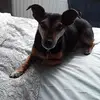 Stuart chatwin - @stuartchatwin3456 - TikTok