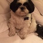 Stuart Clay - @stuartclay5322 - Instagram