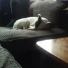 stuartclifton230 - @stuartclifton230 - TikTok