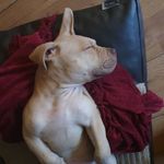 Stuart Cobb - @cobb_stuart - Instagram