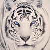 Stuart Cobb - @stuartcobb01264 - TikTok