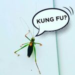 Stuart Collier - @dr4n - Instagram