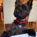 Stuart Connell - Facebook