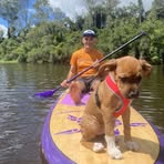 Conway Stuart - Facebook