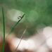 Stuart Crosby - Facebook