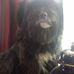 Stuart Dawson - Facebook