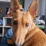 Stuart Day - @starwort4 - Instagram