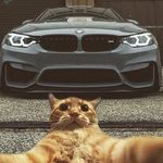 Stuart DeBell - @sdspams_ - Instagram