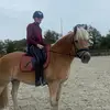 stuart.depony - @stuart.depony - TikTok
