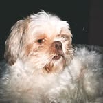 Kirby Derby Stuart Gilliam - @kirbyderbystuartgilliam - Instagram
