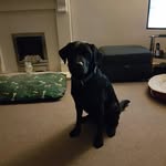 Stuart Derbyshire - @derbyshirestuart - Instagram