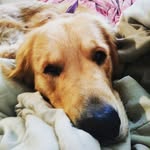Dew Burt & Lola Stuart - @dew_burt_stuart - Instagram