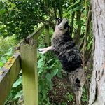 Stuart Dickinson - @dickos6789998212 - Instagram
