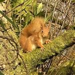 Stuart Dickson - @stufive - Instagram