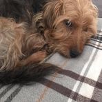 Stuart Dickson - Facebook