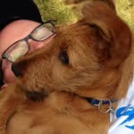 Stuart Dickson - @stuart.dickson.3939 - Instagram