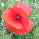 Stuart Dickson - @thehappylifepeople - Instagram