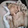 Stuart Diehl - @stuartdiehl9042 - TikTok