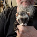 Stuart Dilley - Facebook