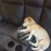 Stuart Dixon - Facebook