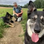 Stuart Dodd - @dodds_dog_walking - Instagram