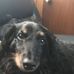 Stuart Dodson - Facebook