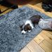 Stuart Donnelly - Facebook