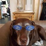 stuart donovan - @cidouced - Instagram