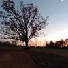 Stuart Dorsey - @stuart.dorsey2 - TikTok