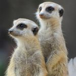 Stuart Douglas - @stuart.douglas.167 - Instagram