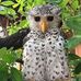 Stuart Dow - Facebook
