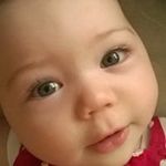 Stuart Dow - @studow1978 - Instagram