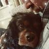 Stuart Dow - @stuart.dow - TikTok